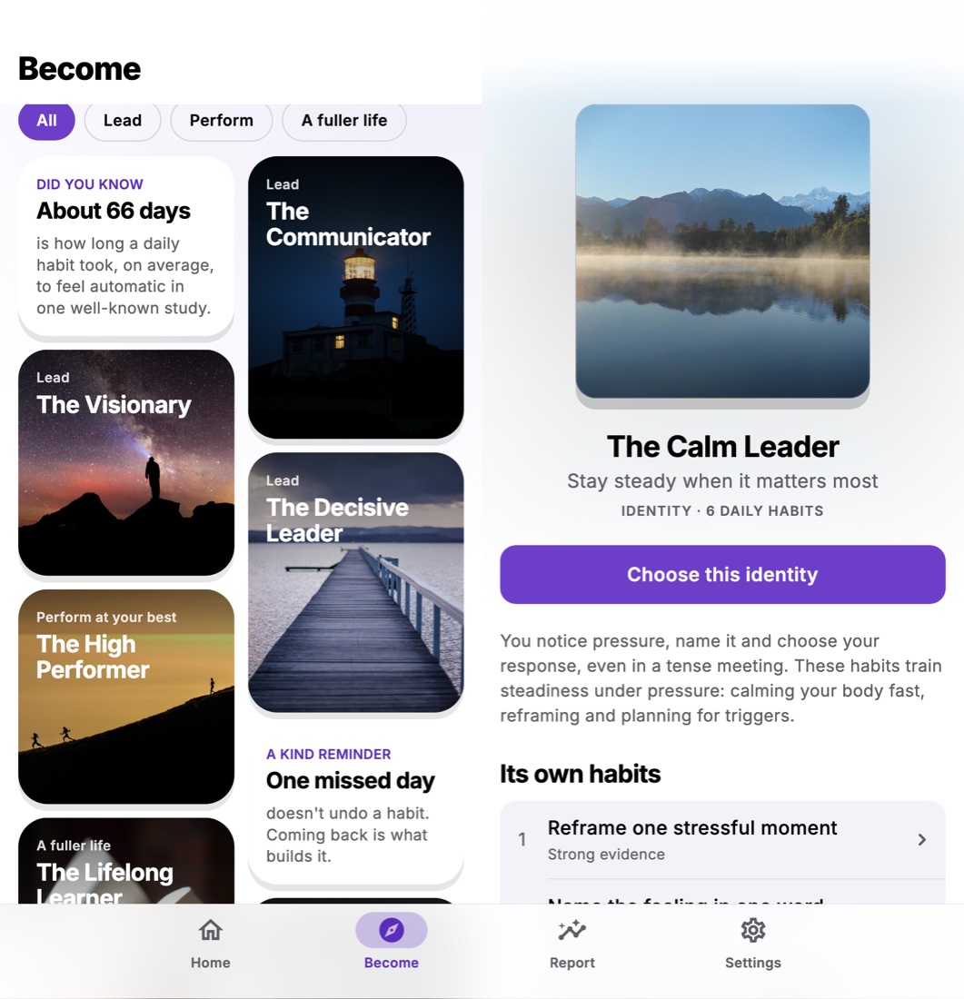 Vector on an unfolded foldable in light mode: the grid of identities on the left page, The Calm Leader's page with its misty lake on the right
